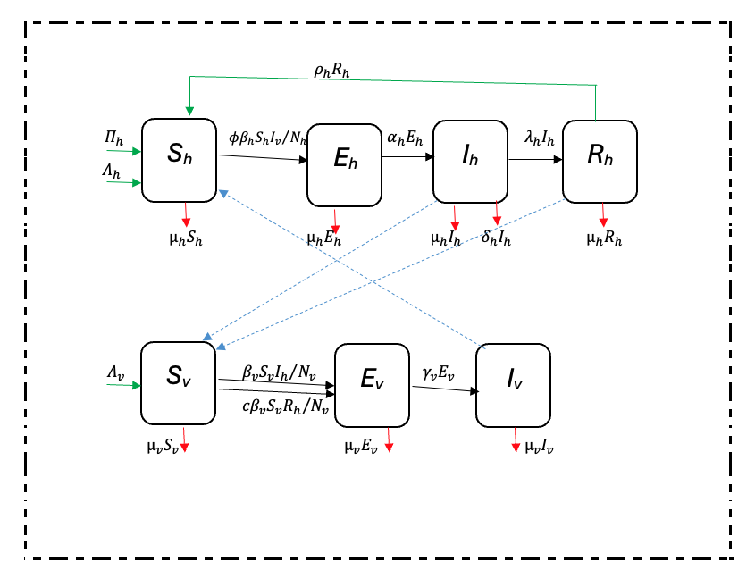 Figure 1: Interaction of the different classes of human and mosquito populations. A modified Ngwa and Shu model.